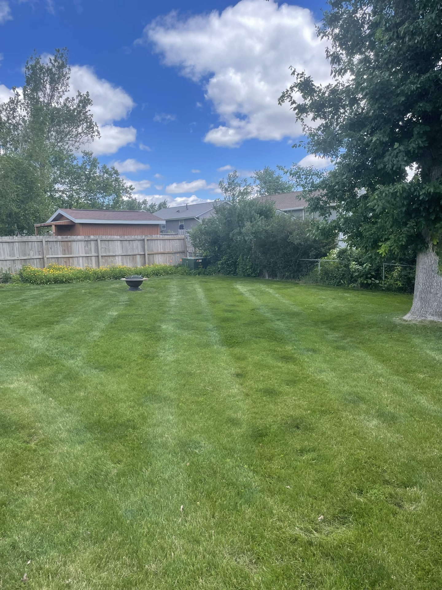 Manicured backyard with clean mowing lines