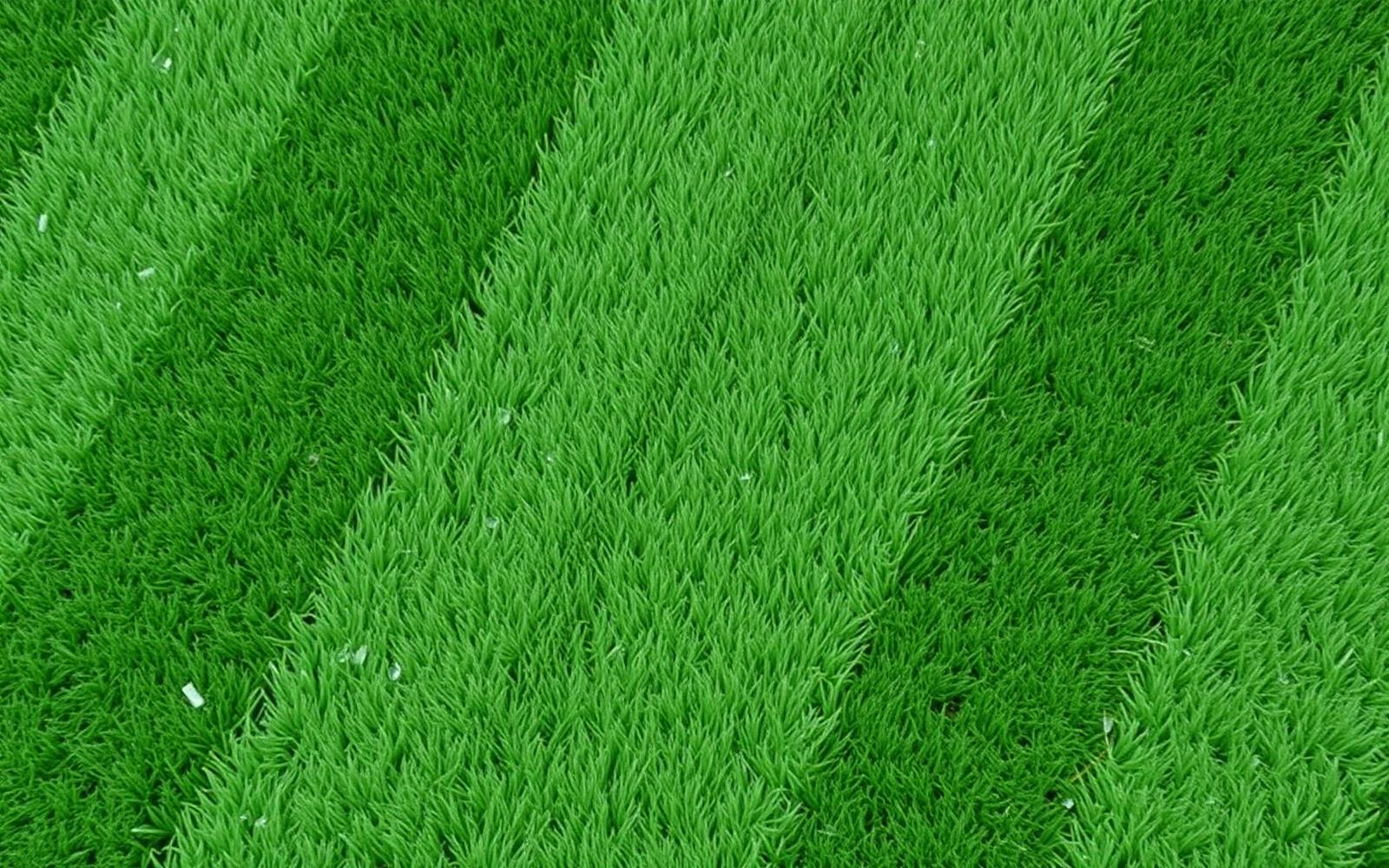 Detail shot of mowing stripes